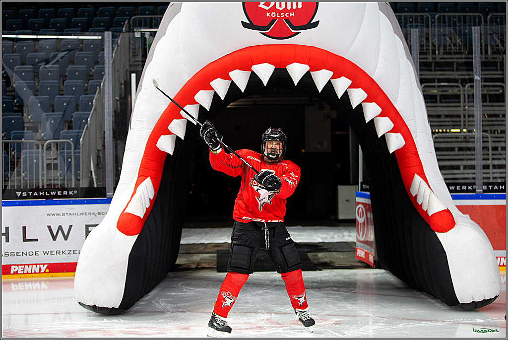 PENNY DEL; Koelner Haie- Red BUll Muenchen Sponsorenspiel; Koeln, 08.11.2022